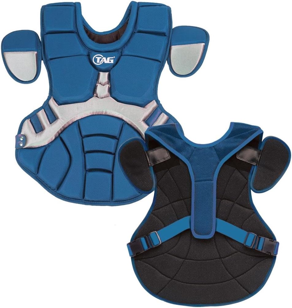 丸山晩霞、杏花の里、豪華・希少・大判画集画、新品高級額・額装付